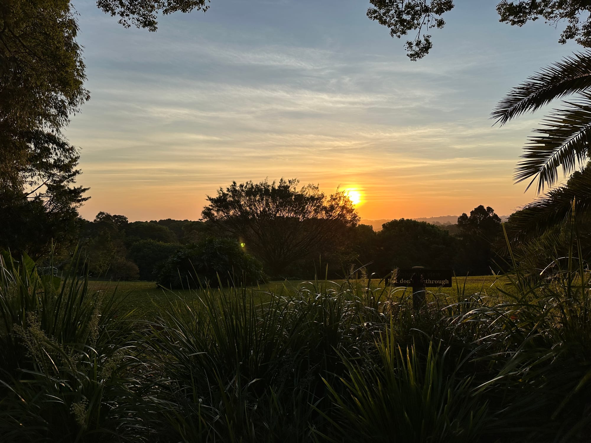 這輩子最棒的一天