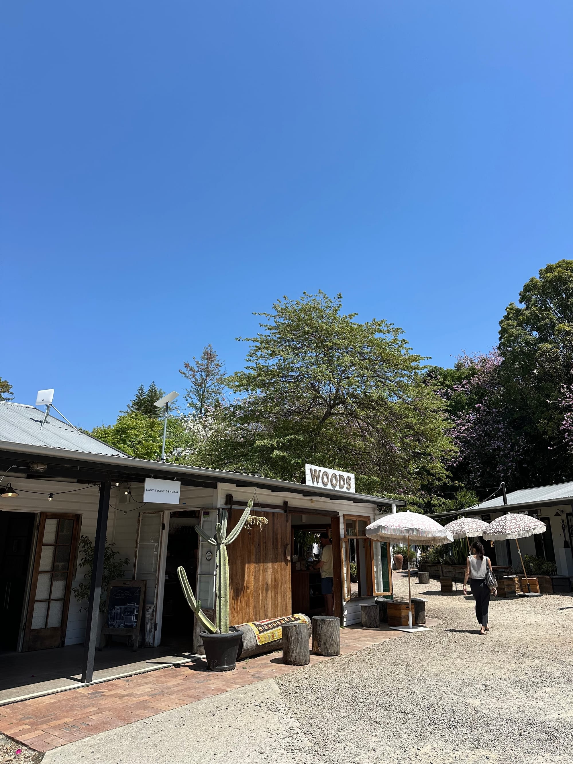 這輩子最棒的一天