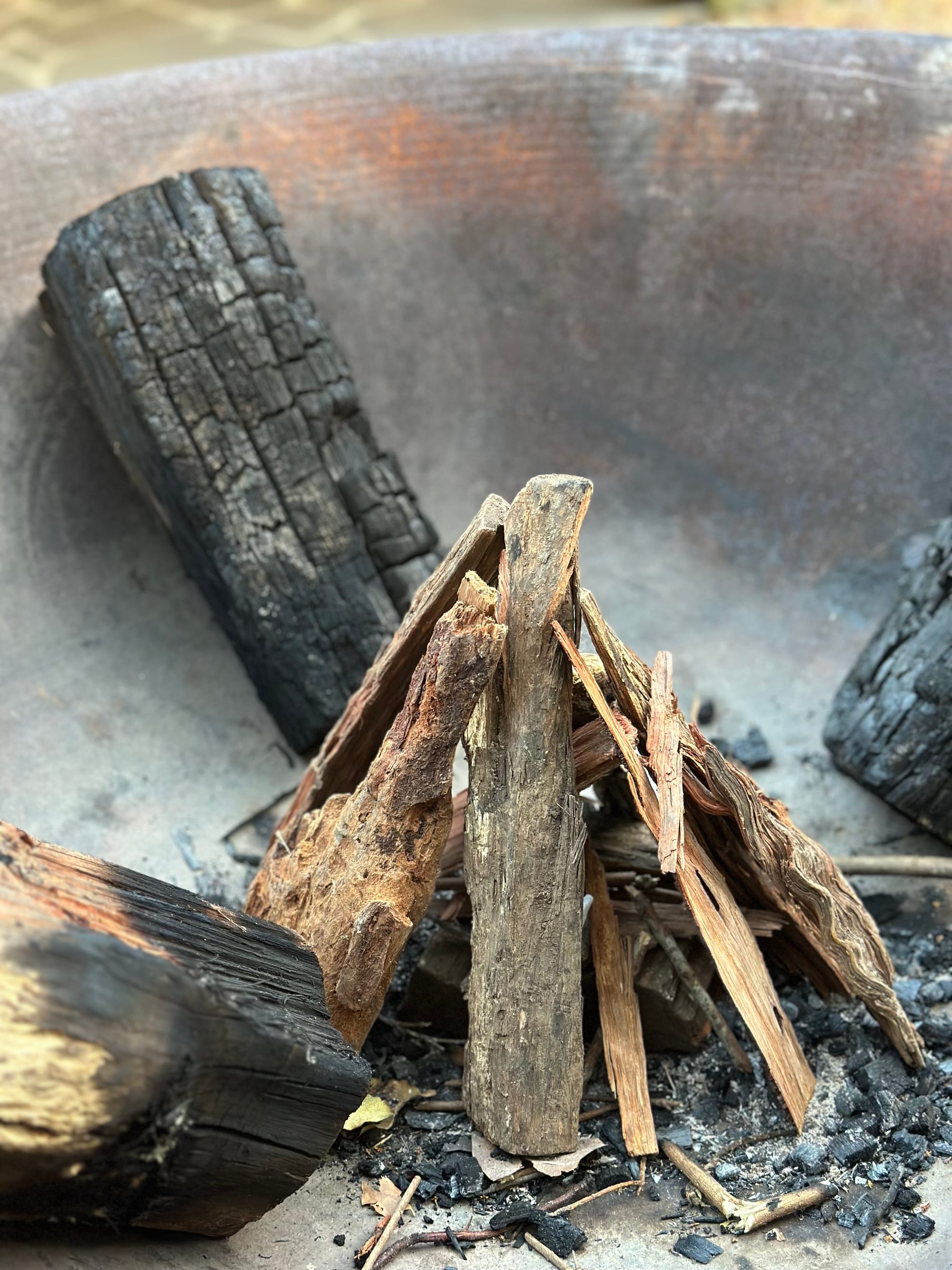 這輩子最棒的一天