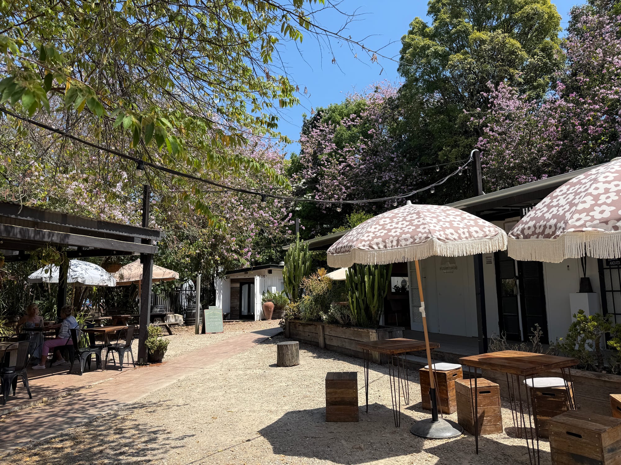 這輩子最棒的一天