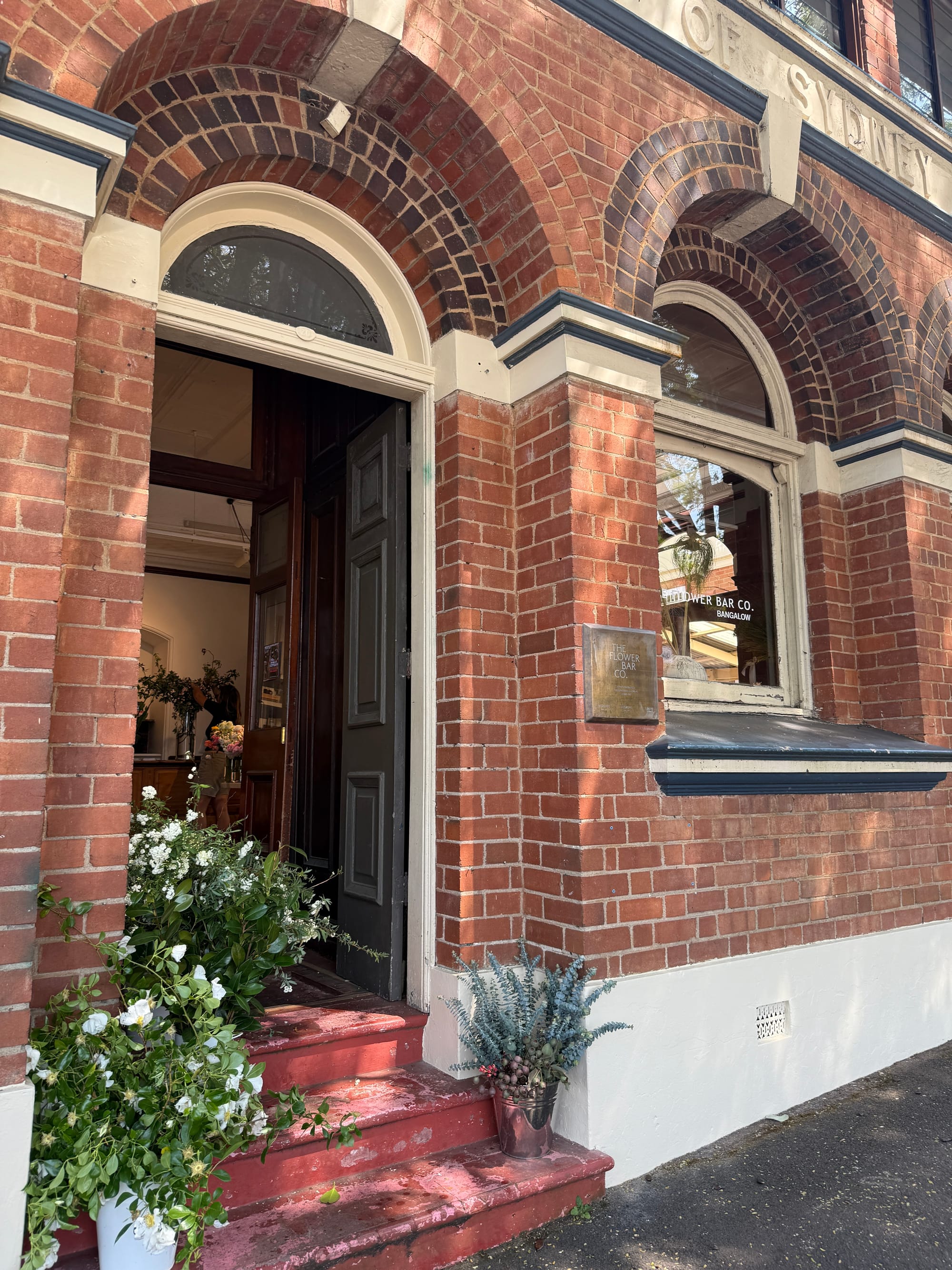 這輩子最棒的一天