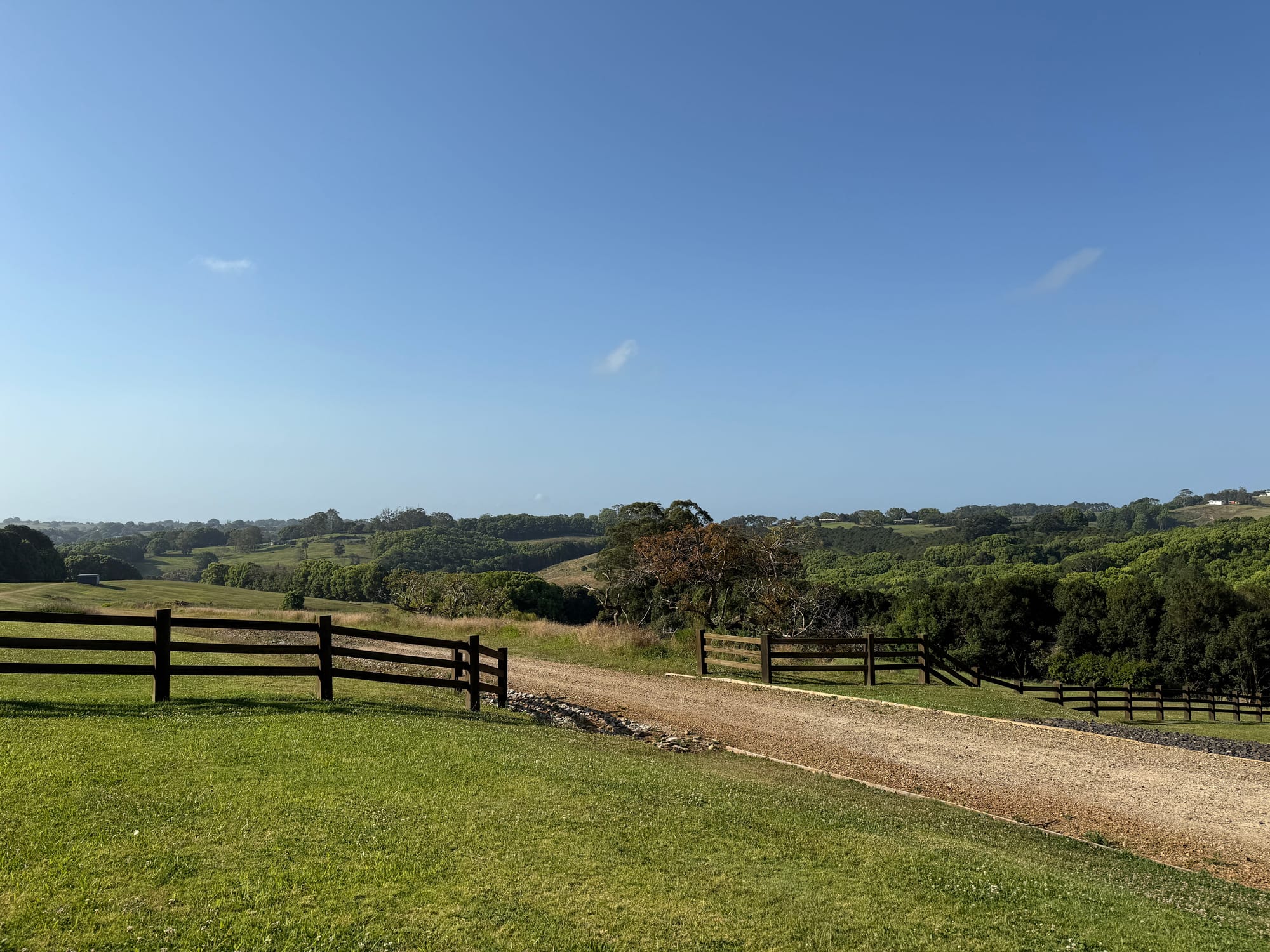 這輩子最棒的一天