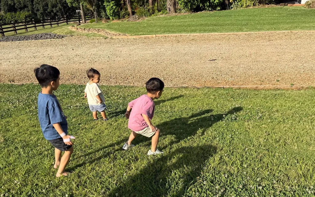 陪伴、快樂，與最好的投資－我的 2025 回顧