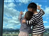 人生的目標在於創造難忘的生命體驗 — 37 歲生日與「Die with Zero」讀後感